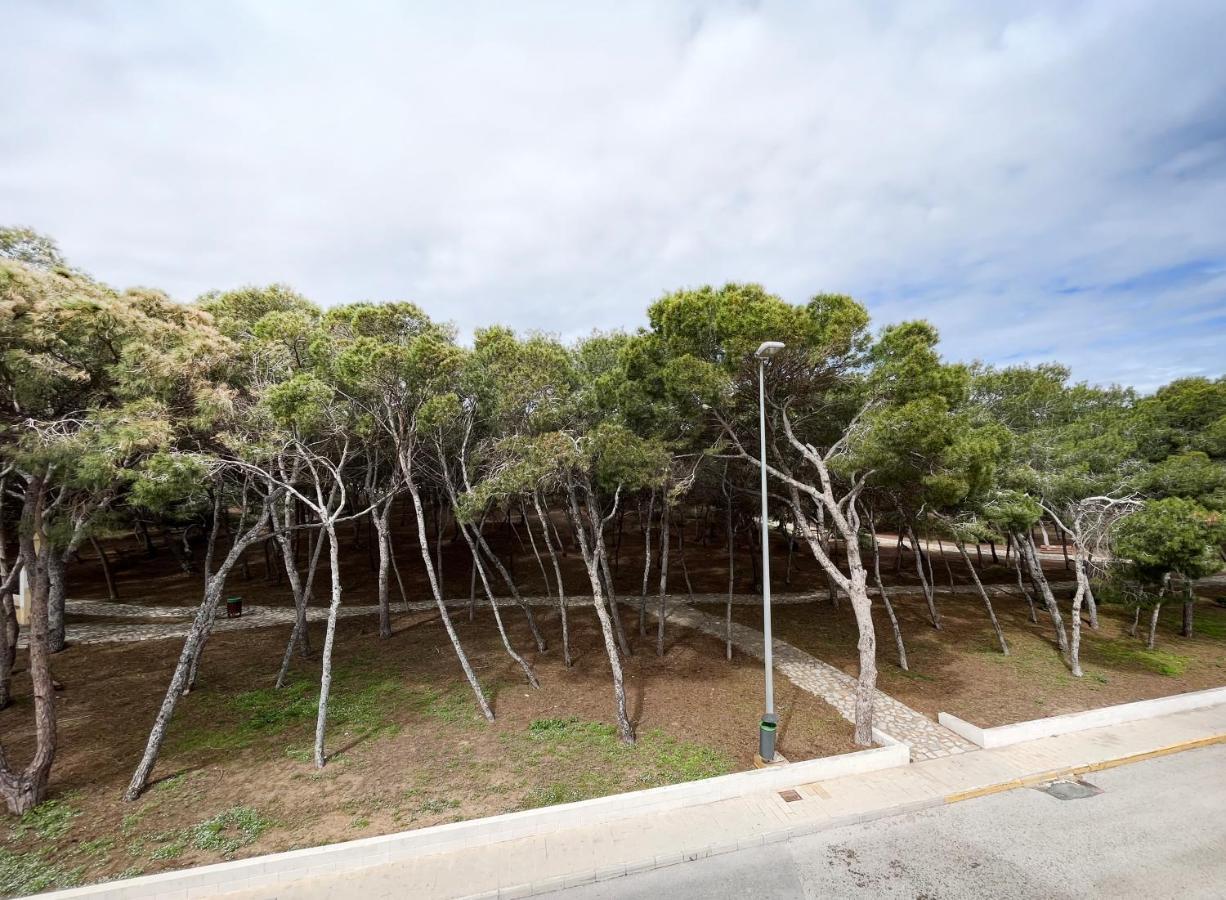 Hotel Parquemar Premium Beach Guardamar del Segura Exterior photo